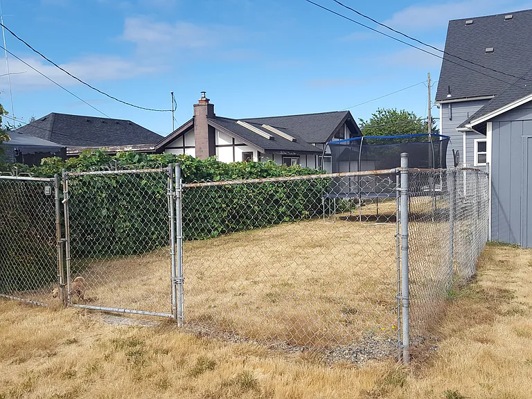 View of backyard with old fence.