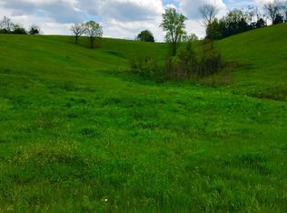 1 Rooster Run Rd, Sharpsburg, KY 40374