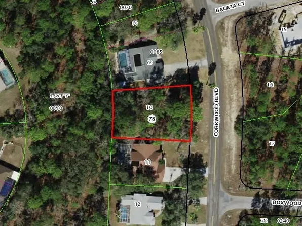 97 Corkwood Blvd, Homosassa, FL 34446