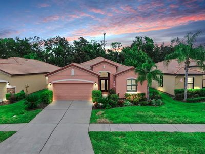 349 Laurel Falls Dr, Apollo Beach, FL, 33572