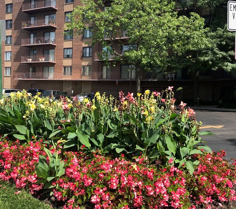 1st image of 7601 Lincoln Ave APT 503