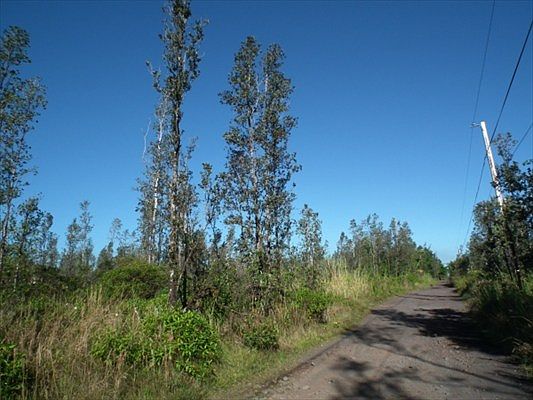 2nd image of Road 9 Koloa Maoli Lot 5445