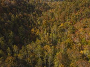 0 Livesay Chapel Rd, Kyles Ford, TN 37765