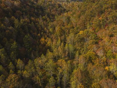 0 Livesay Chapel Rd, Kyles Ford, TN, 37765