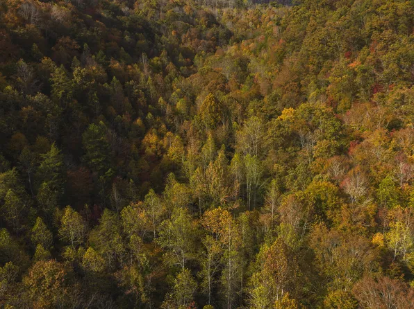 0 Livesay Chapel Rd, Kyles Ford, TN 37765