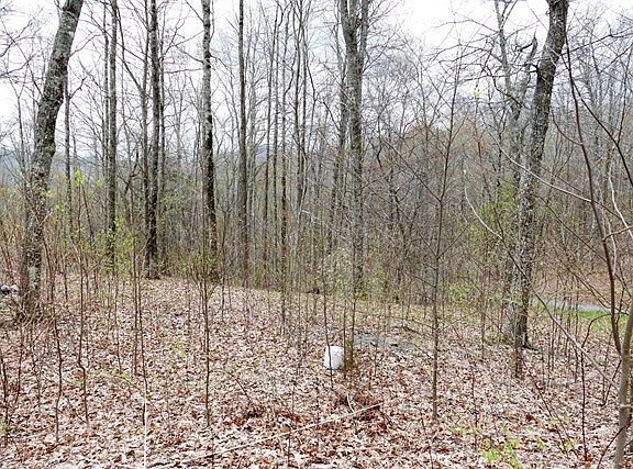 4th image of 0 Angel Knob