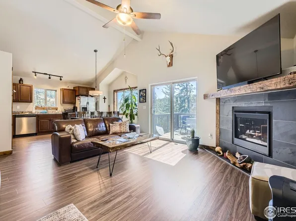 204 Virginia Rd, Bailey, CO 80421