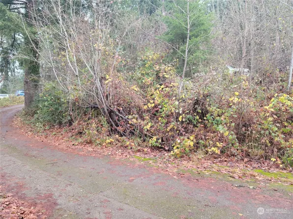 5 L NE 2nd Street, Winlock, WA 98596