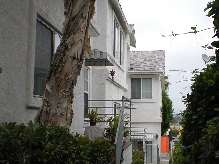 4110 Udall St #B — Photo 2