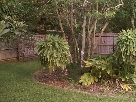 4th image of 33 Westridge Ln