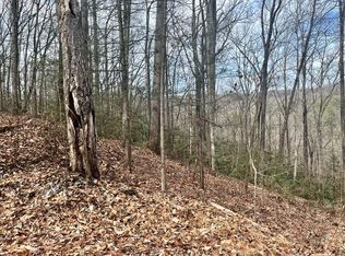 LOT 4 Carter Plz, Gatlinburg, TN 37738