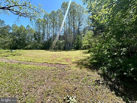 3rd image of 23060 Lanewood Rd