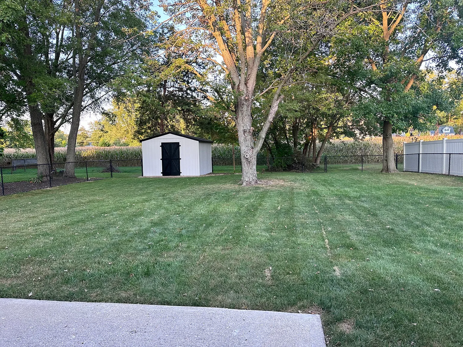 3 bed, 1237 sqft, $1,895 — Photo 3
