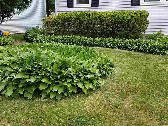 2nd image of 24 Donegal Ave