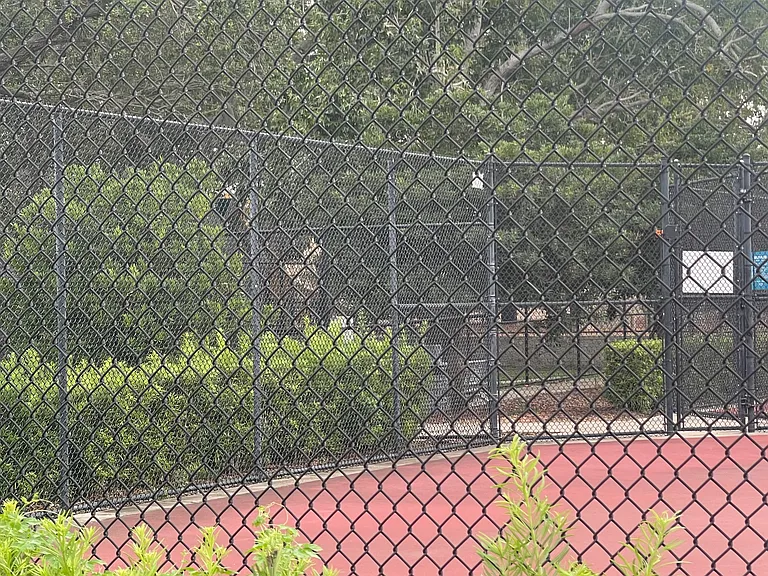 Moreland Dr — Photo 10