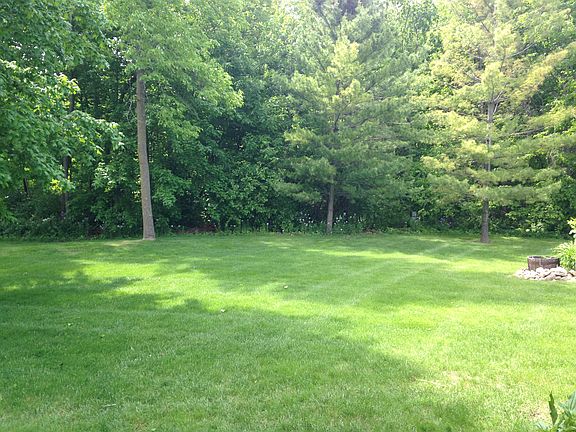 Backyard View