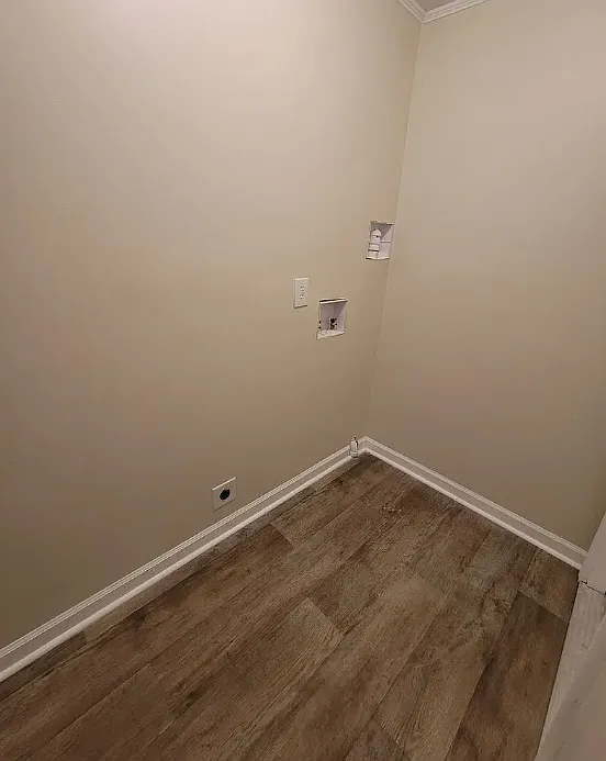 1 bed, 538 sqft, $750 — Photo 3