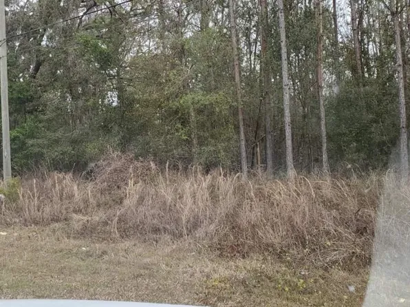 0 Foley Cutoff Rd, Perry, FL 32347
