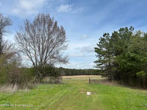 Robinson Thompson Rd, Winona, MS 38967