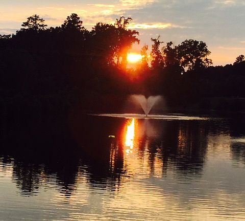 4th image of 11638 Hickory Lake Ter