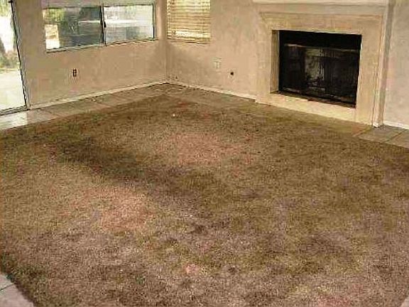 4th image of 2310 Saldina Cir