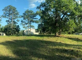 2081 S Overview Dr, Lecanto, FL 34461