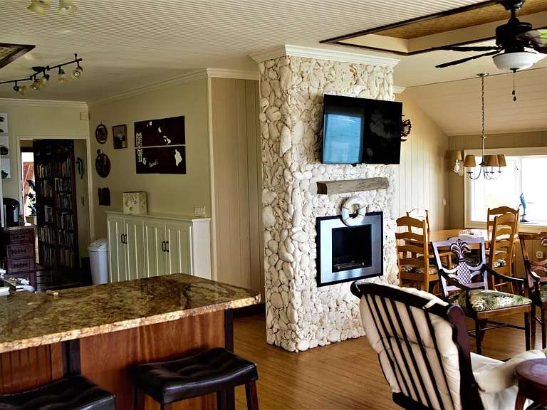 Living room with TV and fireplace