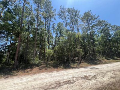 Octavia Ln LOT 26, Webster, FL, 33597