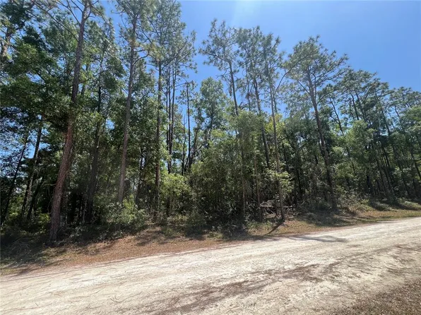 Octavia Ln Lot 26, Webster, FL 33597