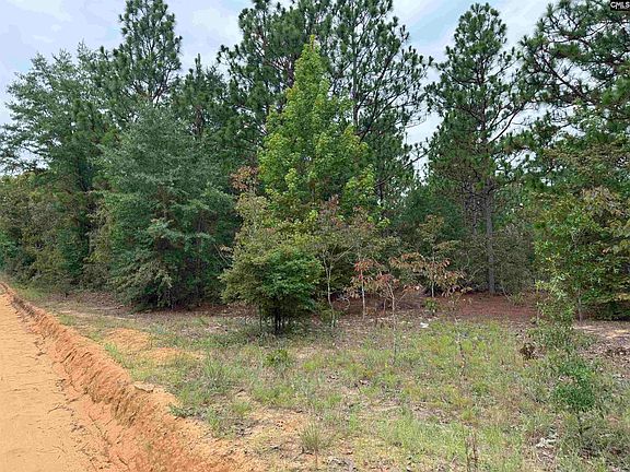 4th image of 0 Collum Pond Rd