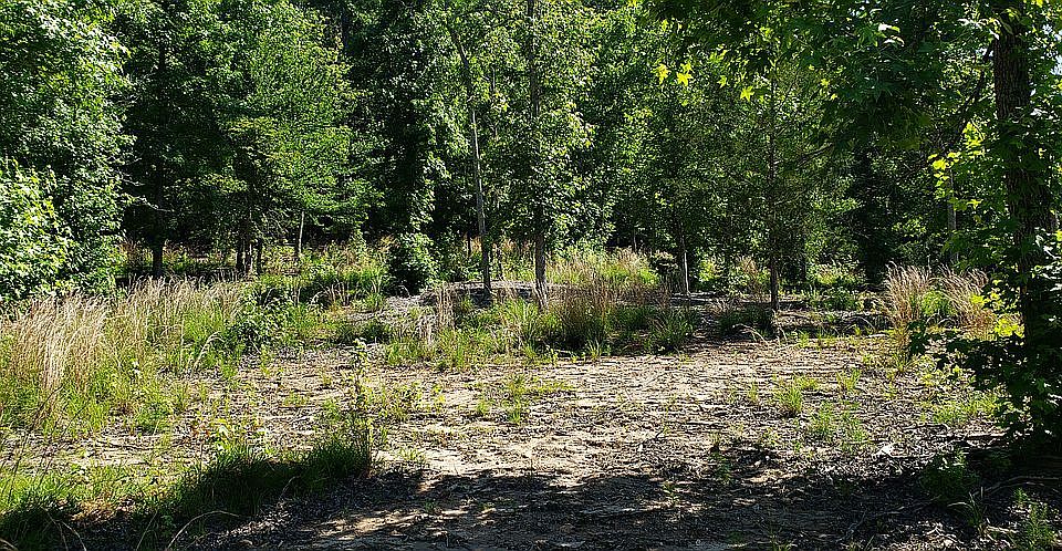 2nd image of 372 Renard Rd