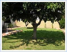 1st image of 4036 E ANDORRA Drive