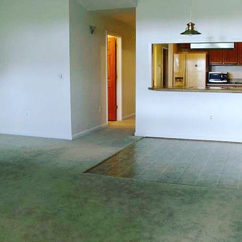 natural light in living/dining space