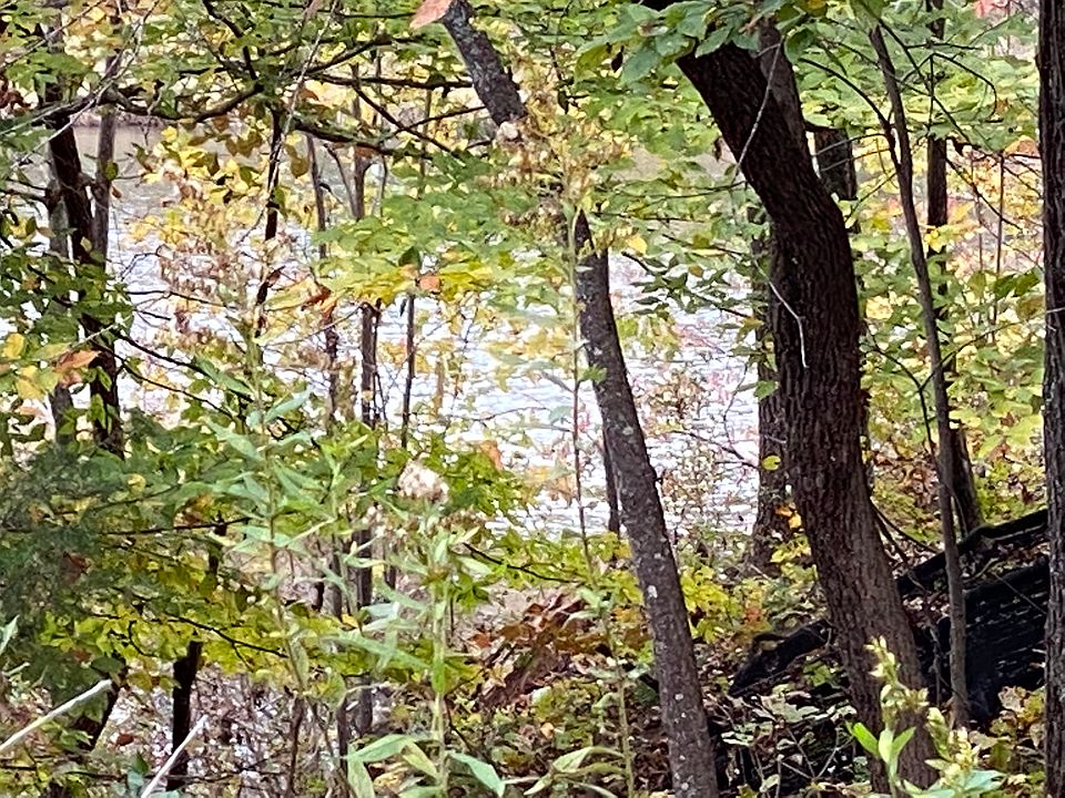 1st image of 250 Louie Ln Lot 0