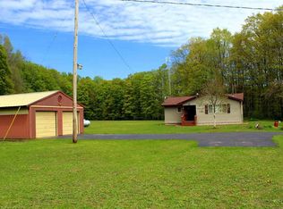 8700 N Hodenpyle Dam Rd, Mesick, MI 49668