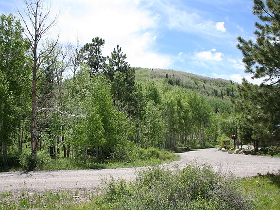 4th image of 2 Elk Creek Meadows Run