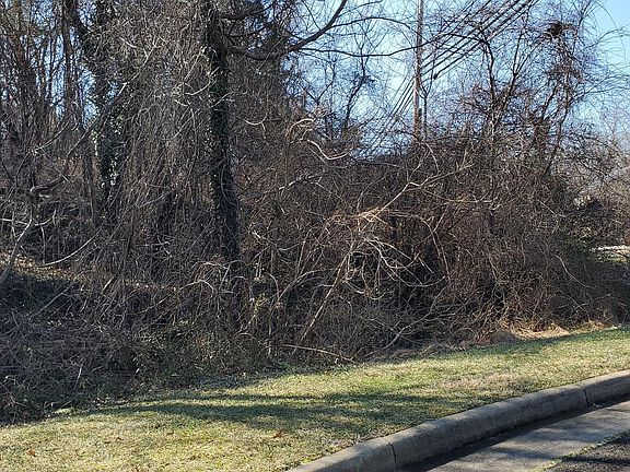 3rd image of Alexandria Pike