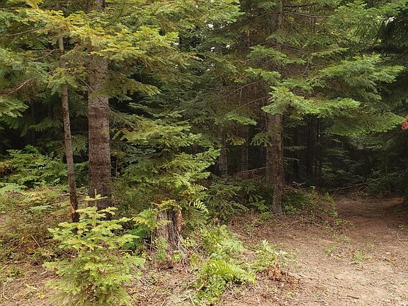 4th image of 80 E Ridge Dr Tract 8