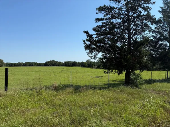 0 Fm 1001, Cookville, TX 75558