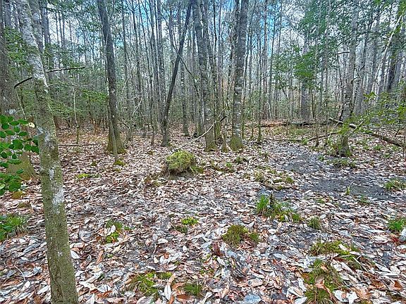 4th image of 0 County Road 1200 Vw