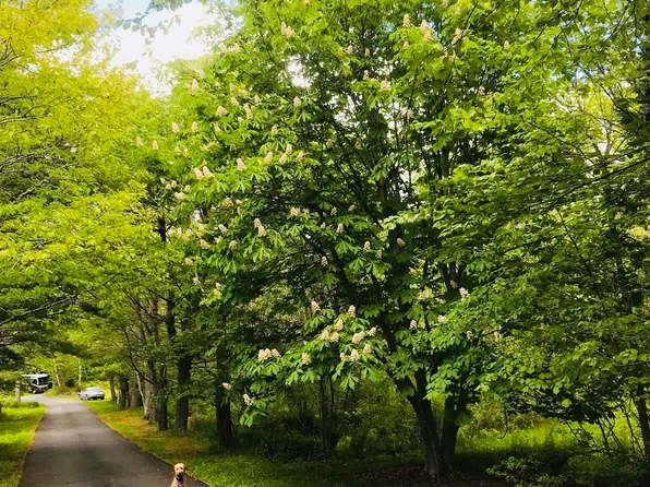 15 Cottage Ln, Windsor Junction, NS B2T 1G7