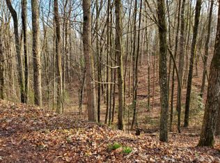 2166 Macedonia Rd, Ellijay, GA 30536