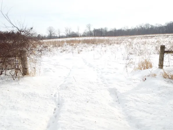 NULLB Peacock Rd, Leslie, MI 49251