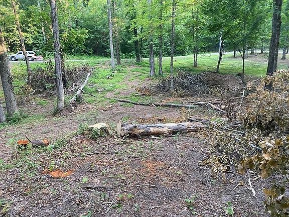 5th image of 296 County Road 263