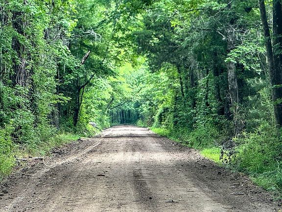 Hayne Hallsc Land For Sale 39