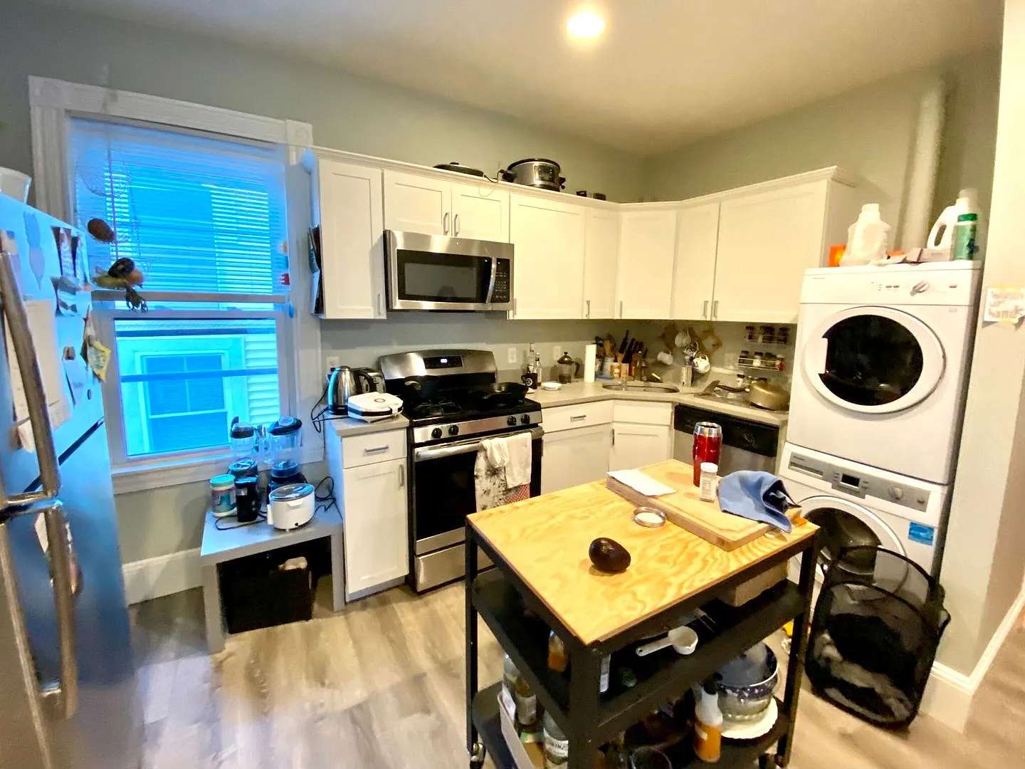 Renovated Apt near NEU! Luxury Appliances, Sunny and Spacious w Laundry in Unit, Pet OK — Photo 4