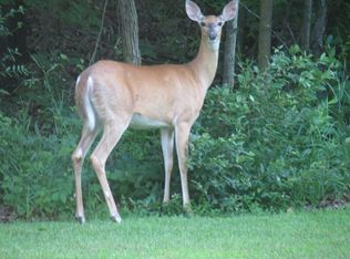 000 Nth Vandyke Wow Wooded 40 Acres, Goodland, MI 48444