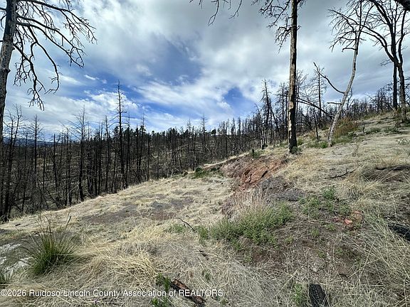 3rd image of 121 Tall Pines Rd