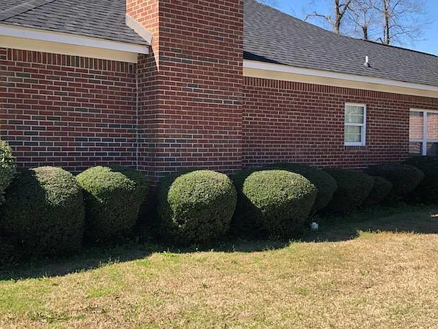 3 bed, 1650 sqft, $1,795 — Photo 3