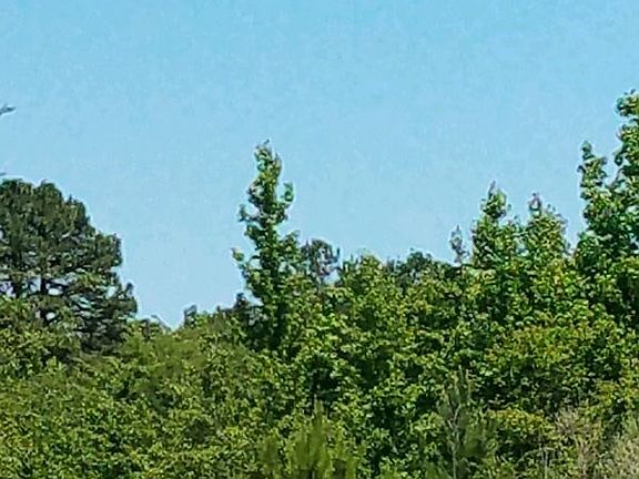 3rd image of 17321 County Road 4318